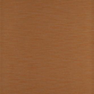 Image de Rushes - ZAKA312490