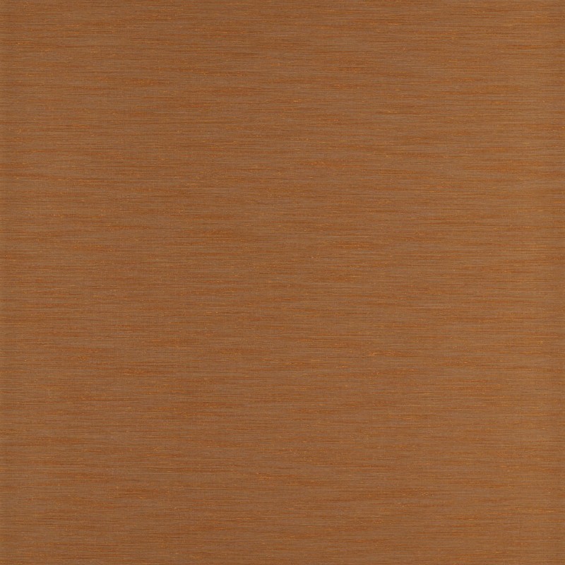 Afbeeldingen van Rushes - ZAKA312490