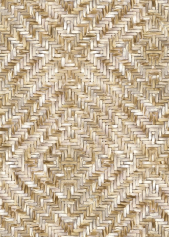 Bild på Terra - 391563