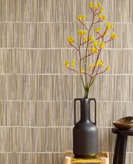 Image de Terra - 391513