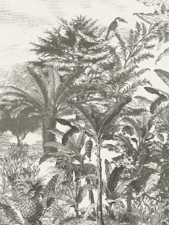 Picture of Skin - 300631