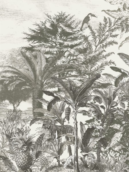 Afbeeldingen van Skin - 300631