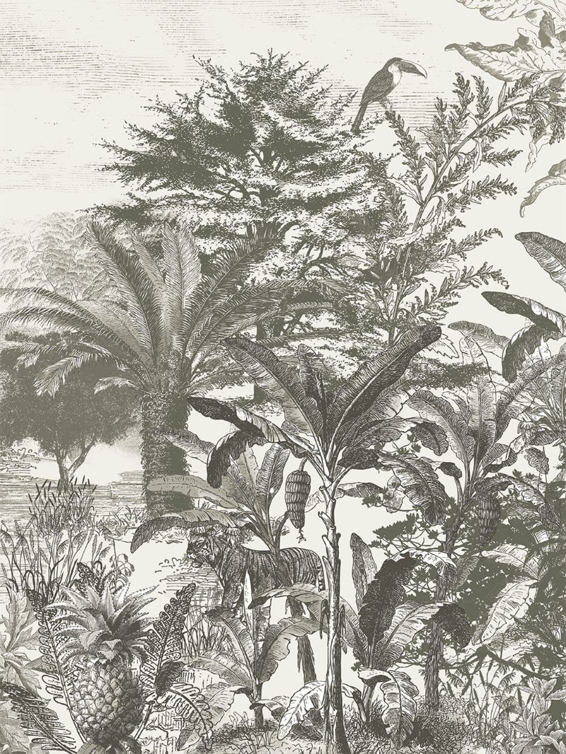 Picture of Skin - 300631