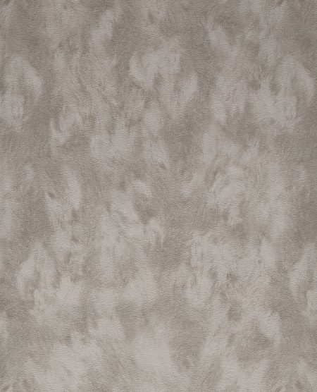 Picture of Skin - 300580