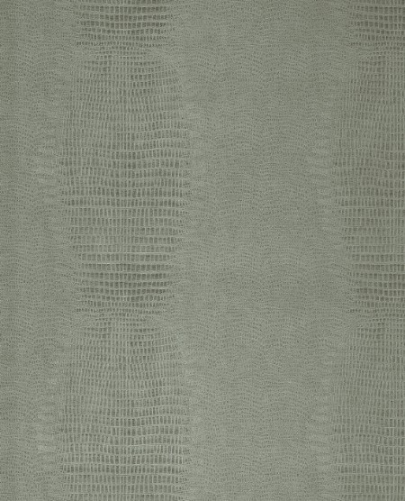 Image de Skin - 300574