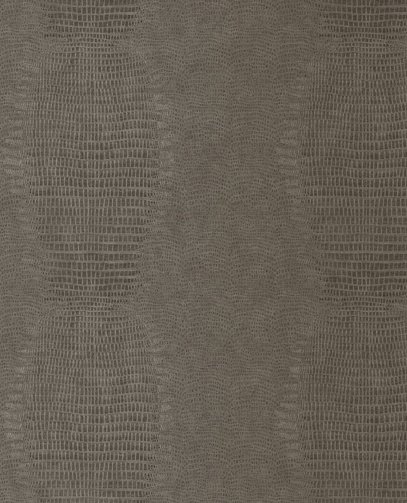 Picture of Skin - 300573