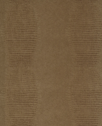 Picture of Skin - 300571