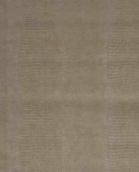 Image de Skin - 300570