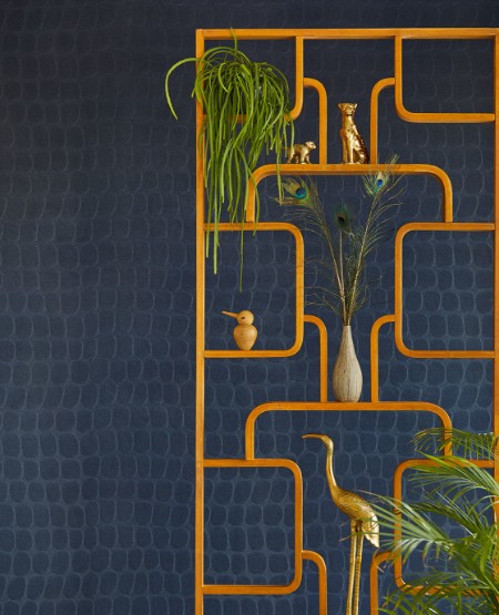 Image de Skin - 300564