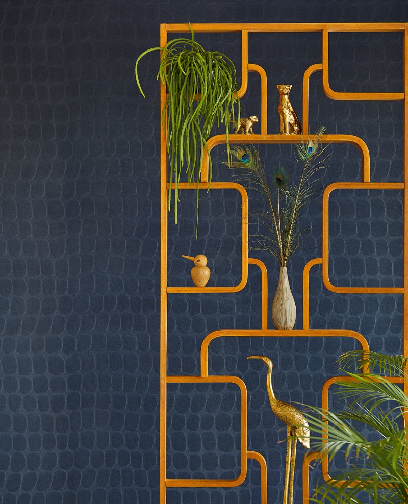 Picture of Skin - 300564