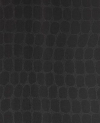 Image de Skin - 300563