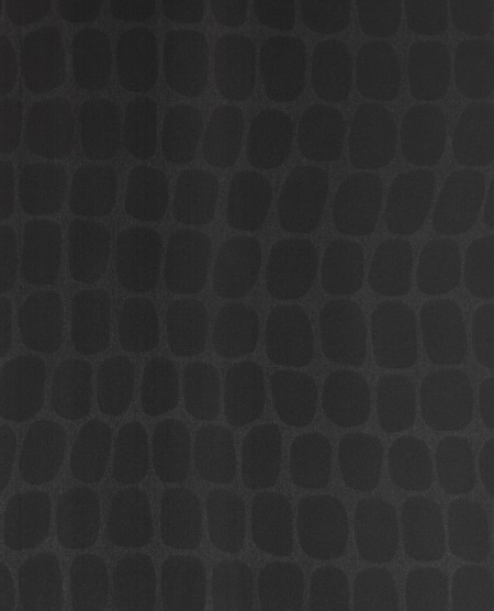 Image de Skin - 300563