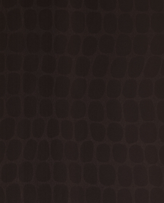 Image de Skin - 300562