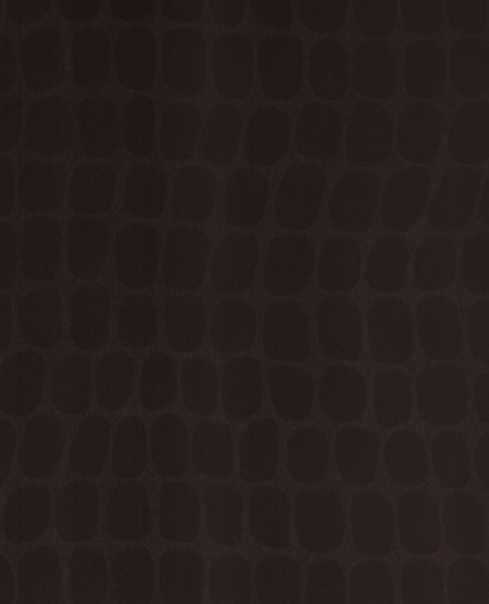 Image de Skin - 300562