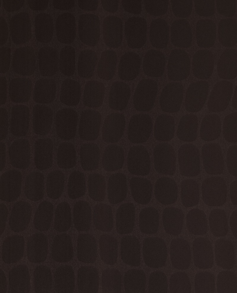 Picture of Skin - 300562