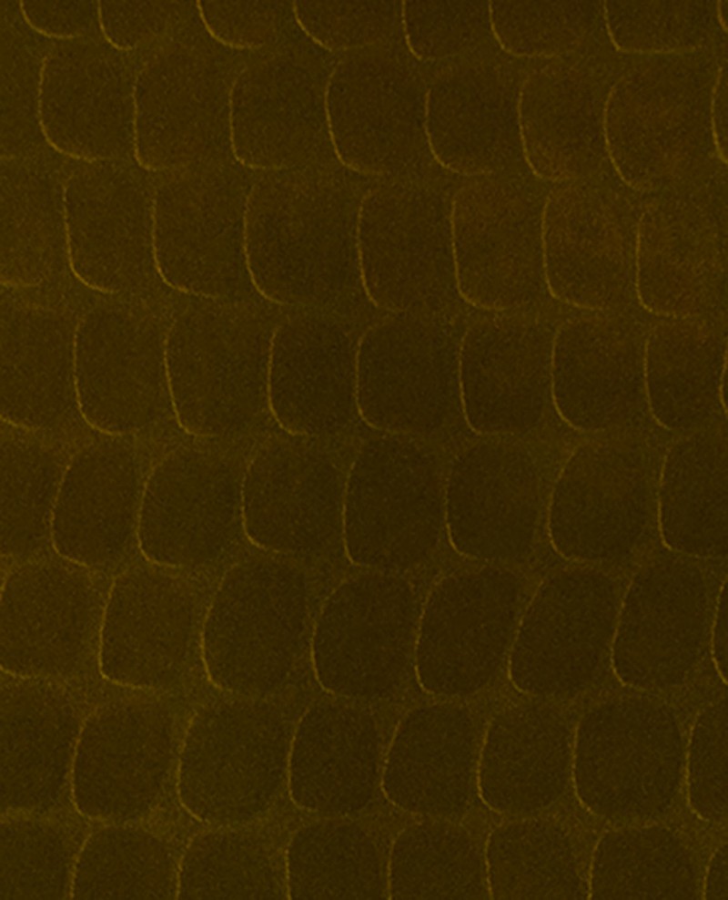 Image de Skin - 300560