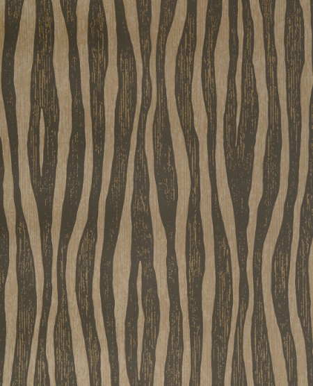 Image de Skin - 300553