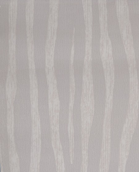 Image de Skin - 300552