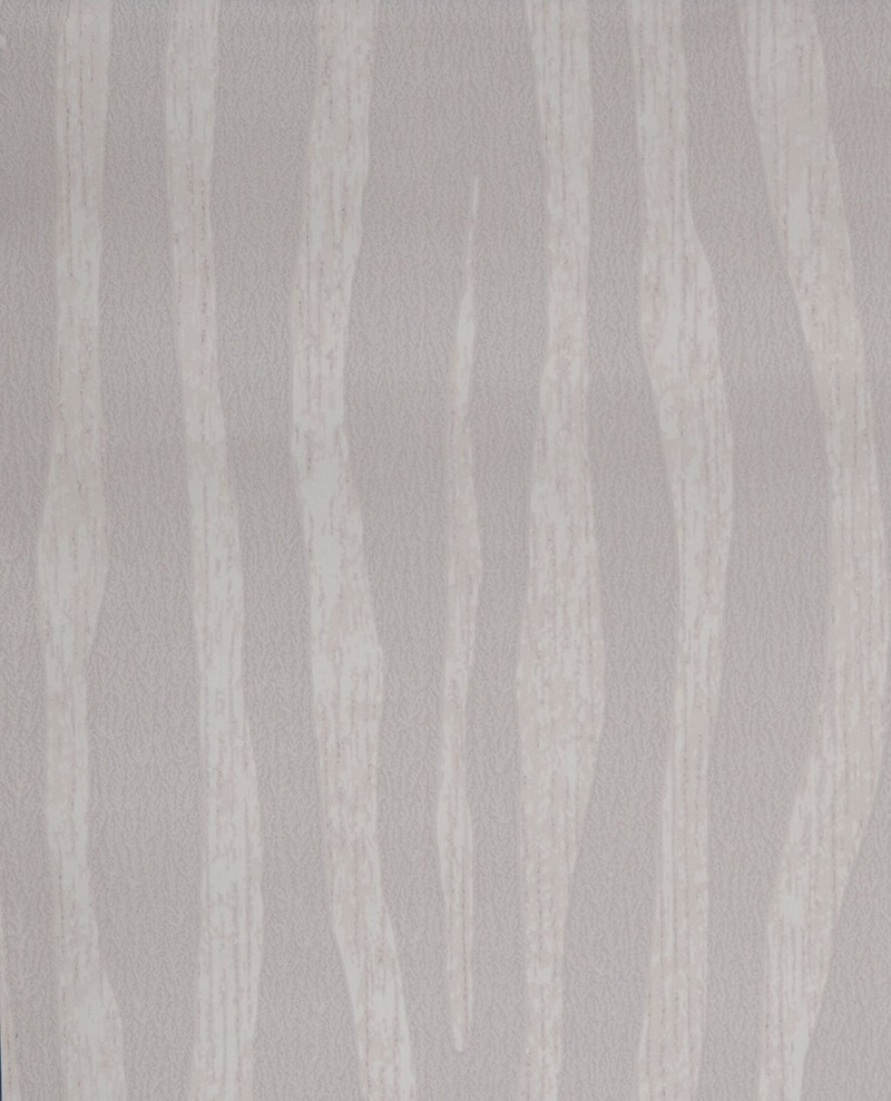 Image de Skin - 300552