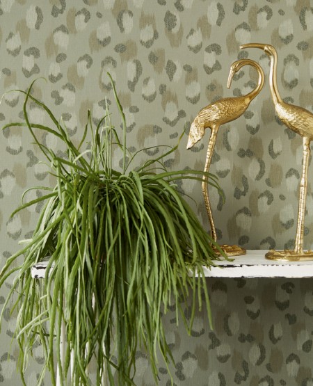 Image de Skin - 300544