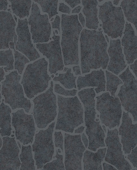 Image de Skin - 300535