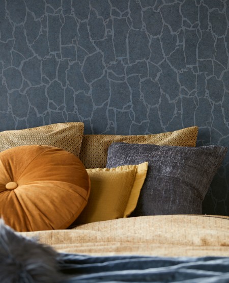 Image de Skin - 300535