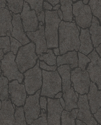 Picture of Skin - 300534