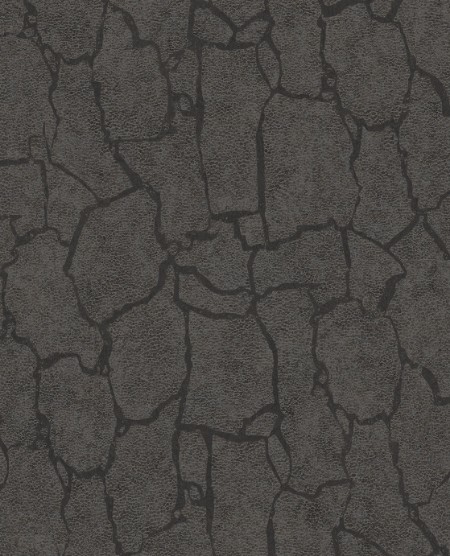 Image de Skin - 300534