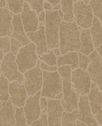 Afbeeldingen van Skin - 300533