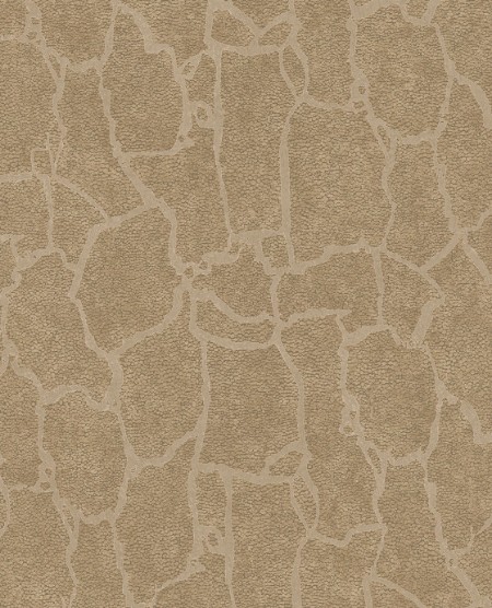 Image de Skin - 300533