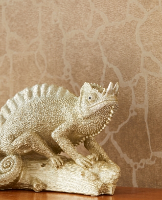 Afbeeldingen van Skin - 300533