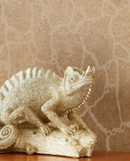 Image de Skin - 300533