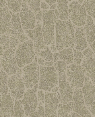 Picture of Skin - 300532