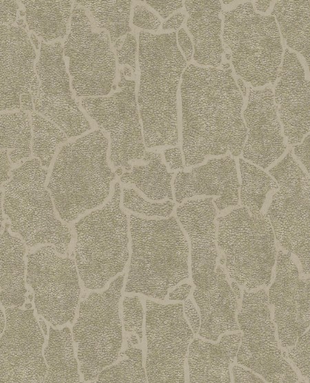 Image de Skin - 300532