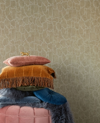 Picture of Skin - 300532