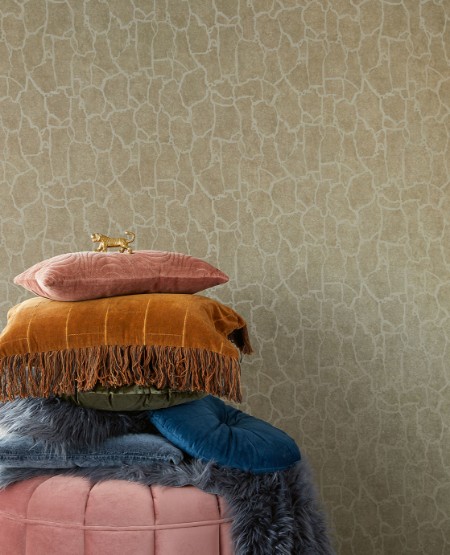 Image de Skin - 300532