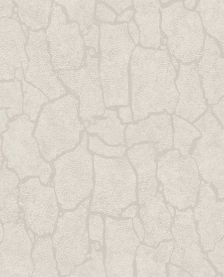 Image de Skin - 300530