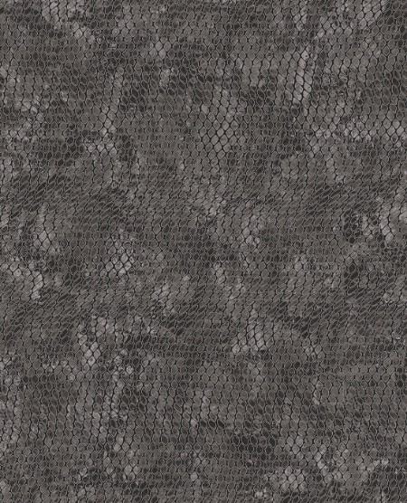 Image de Skin - 300525