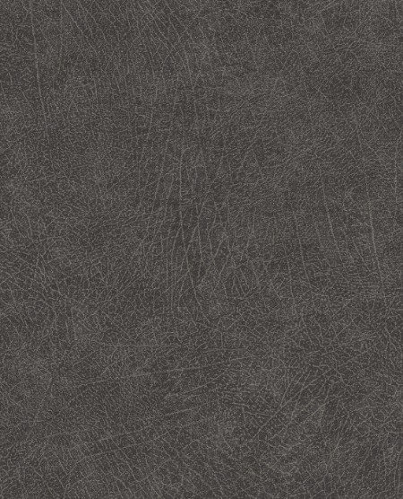 Image de Skin - 300516