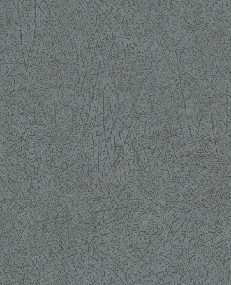 Picture of Skin - 300515