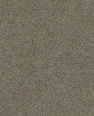 Afbeeldingen van Skin - 300514