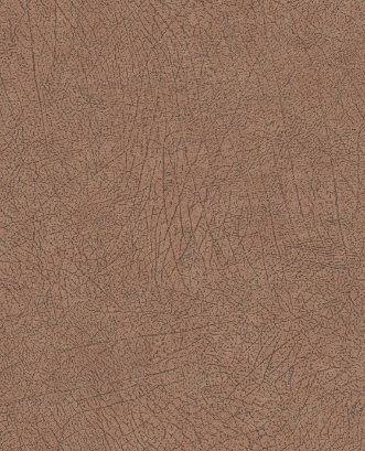 Bild på Skin - 300513