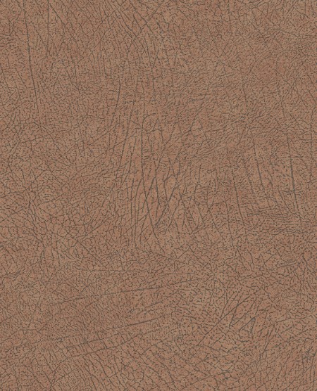 Imagem de Skin - 300513