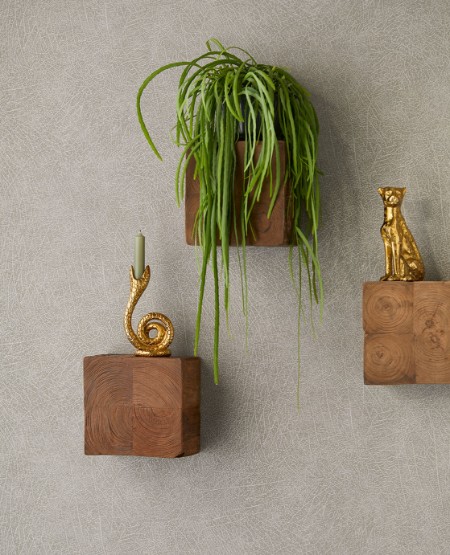 Image de Skin - 300512