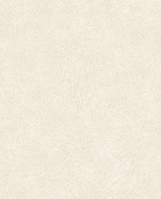 Picture of Skin - 300510