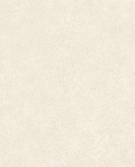 Image de Skin - 300510