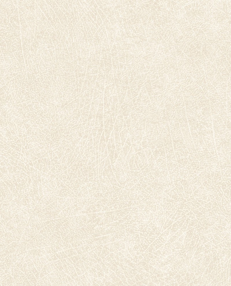 Image de Skin - 300510