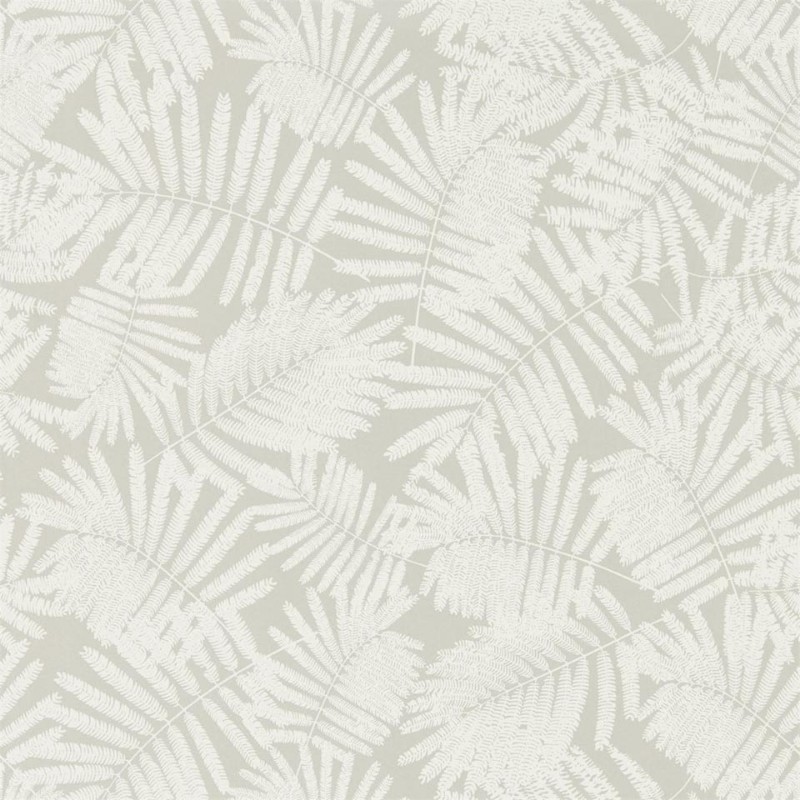 Picture of Espinillo - HCLS111396