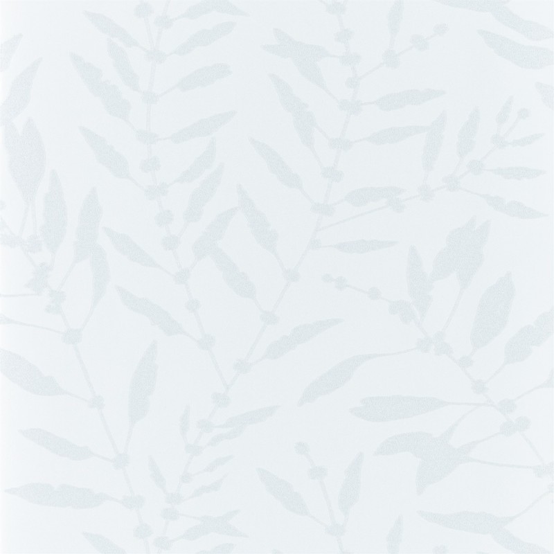 Afbeeldingen van Chaconia Shimmer - HANZ111661