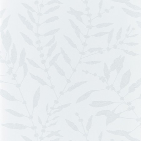 Bild på Chaconia Shimmer - HANZ111660